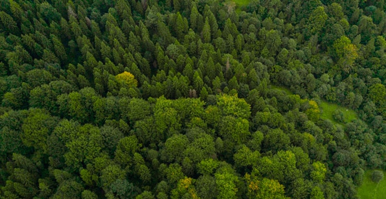 news_agrilab_15112024