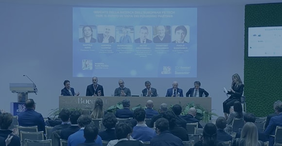 rafforzare ecosistema fintech