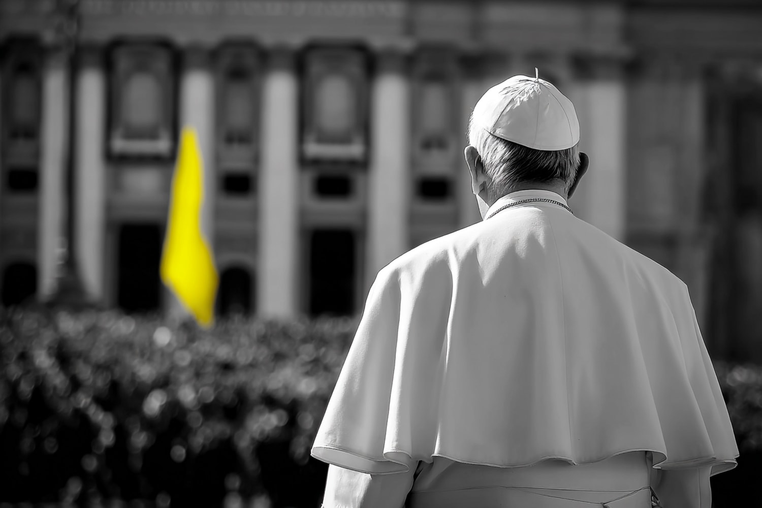 Insight La network analysis