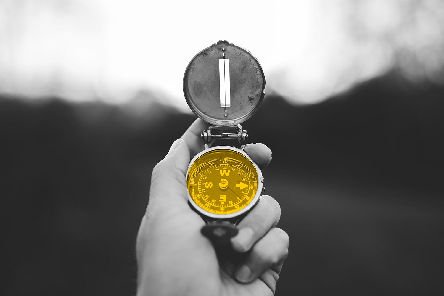 Insight il vero costo