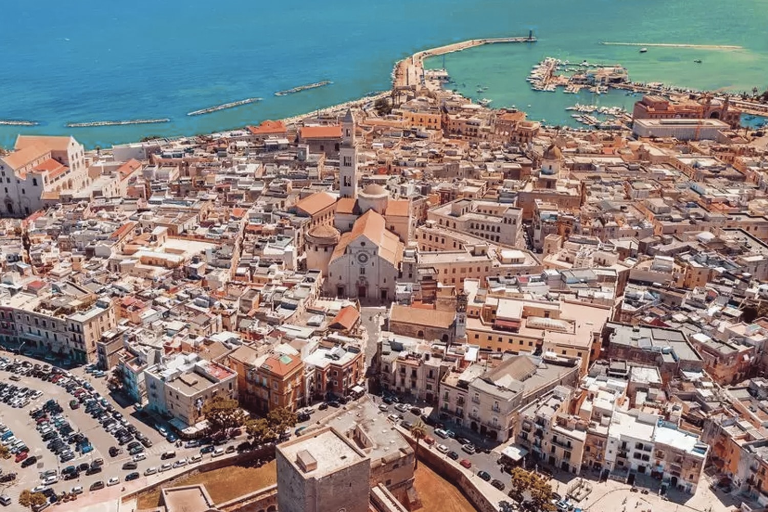 bari-cover.jpg