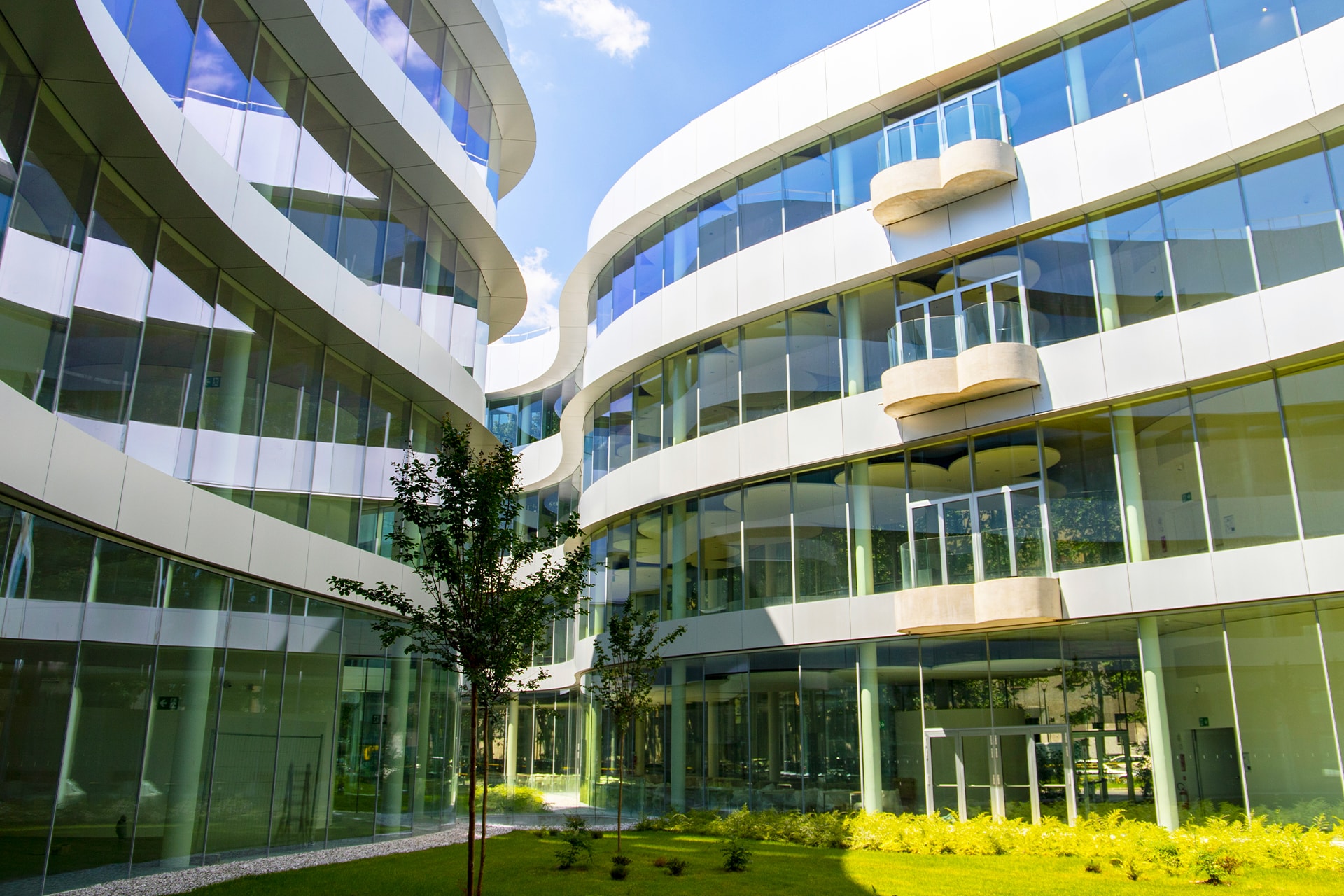 campus1.jpg