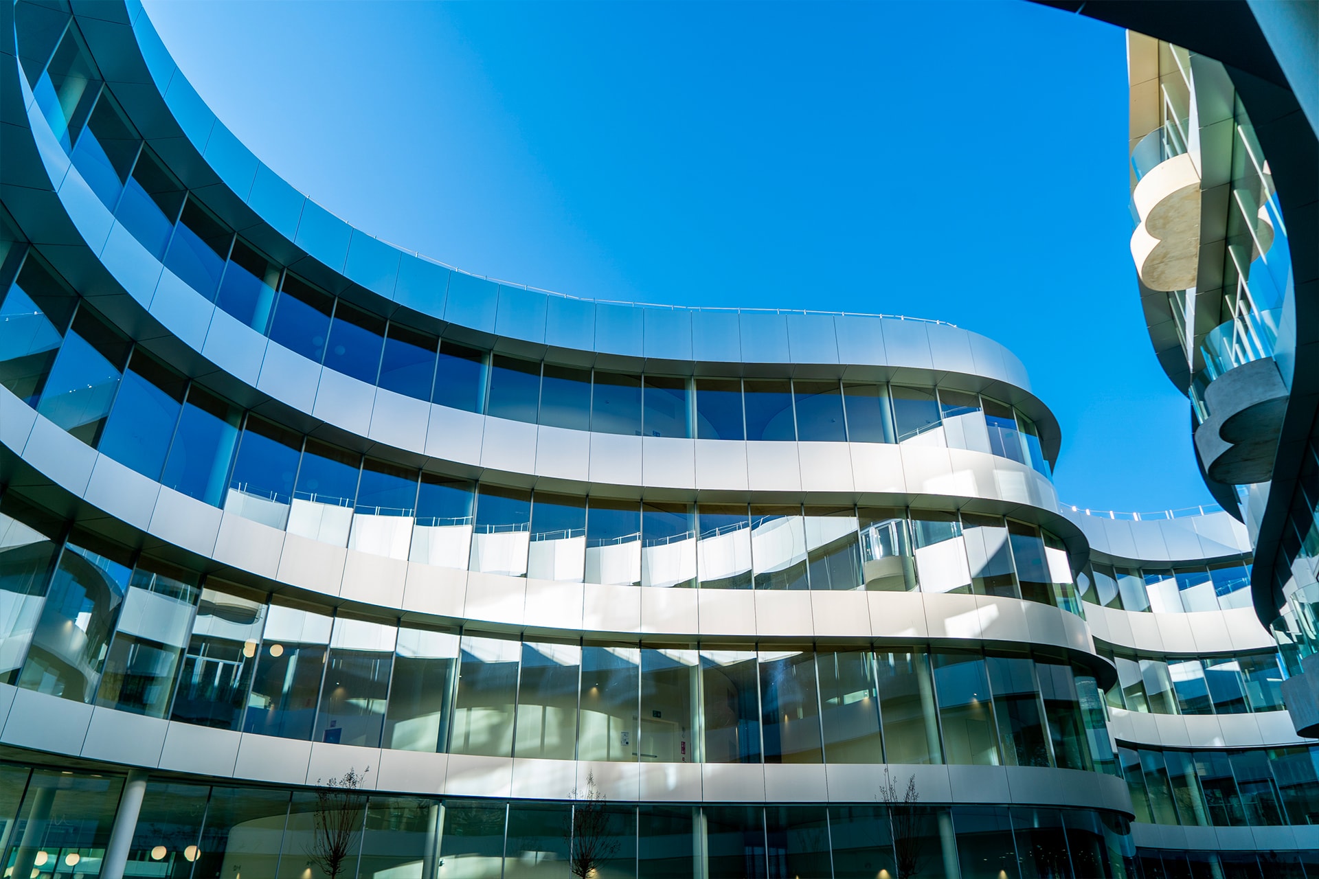campus3.jpg