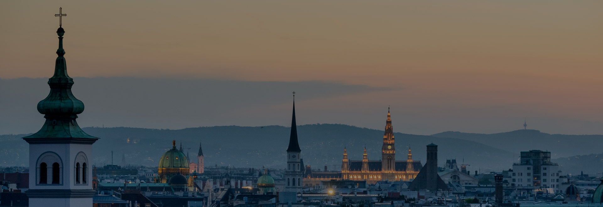 vienna.jpg