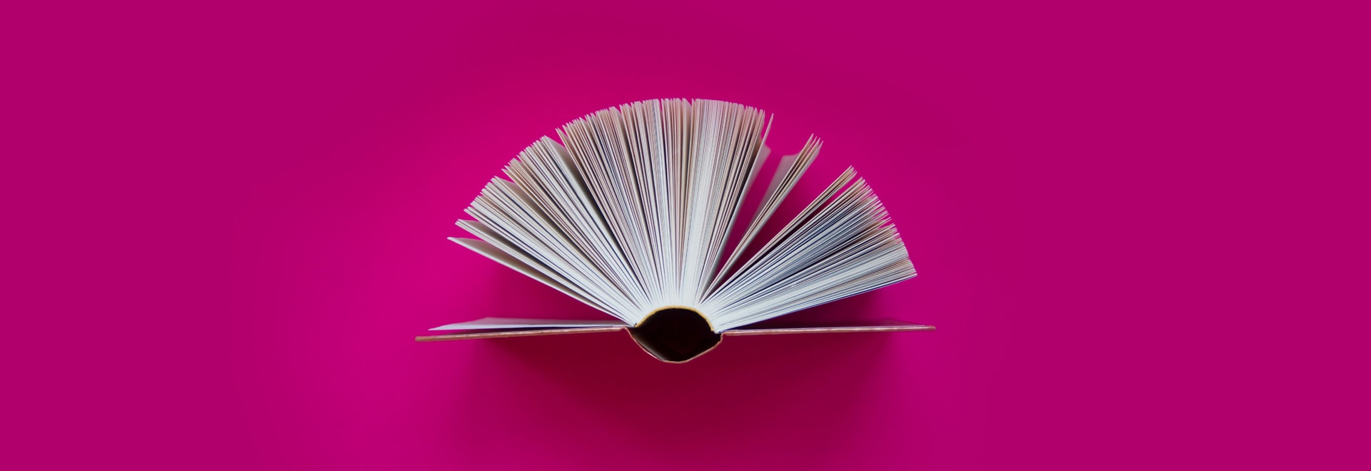 Insight libro giallo