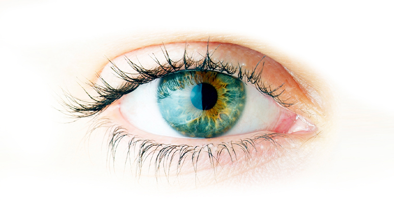 Sources of happiness (and consumption)